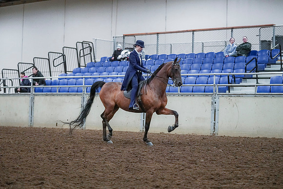 Spring Fling - Saturday - April 20, 2019  -  00791