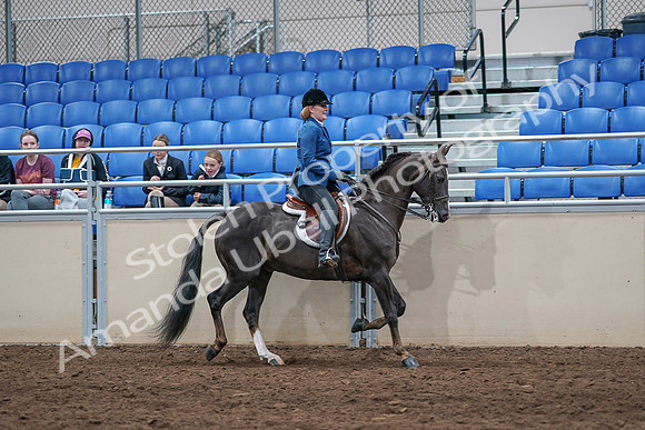 2020 - AB Morgan Horse - Sat, Sept 05 - 05219