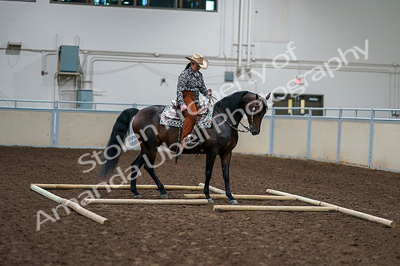 2020 - AB Morgan Horse - Fri, Sept 04 - 00372