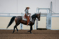 2020 - AB Morgan Horse - Fri, Sept 04 - 00419
