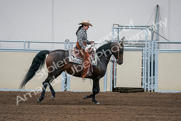 2020 - AB Morgan Horse - Fri, Sept 04 - 00419