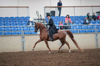 2019 Morgan Horse Show - Aug 31, 2019 - 12182