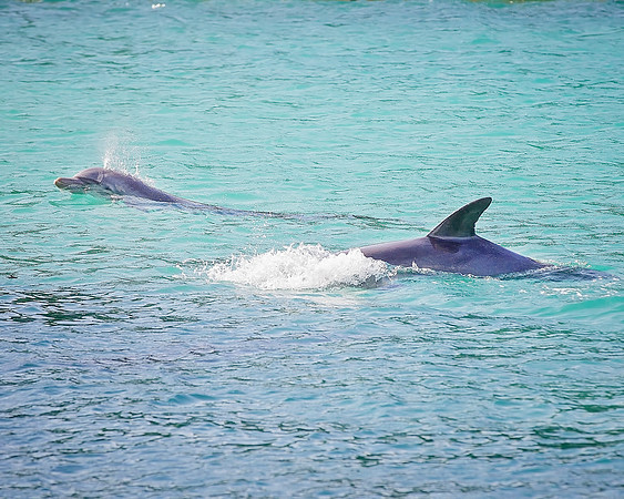 Jamaica - 097
