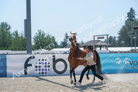 2024 - WCB - July 18 - 02863
