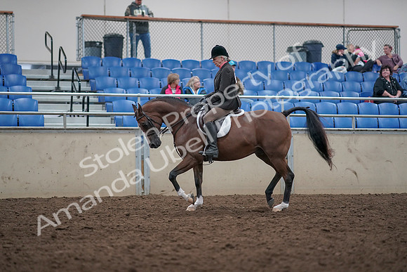2019 Morgan Horse Show - Aug 31, 2019 - 15889