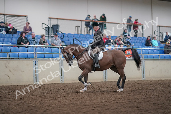 2019 Morgan Horse Show - Aug 31, 2019 - 15952