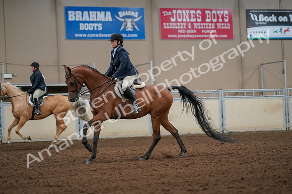 2019 Morgan Horse Show - Aug 30, 2019 - 22436