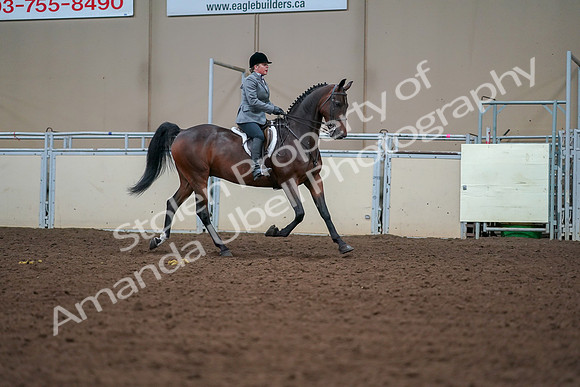 2019 Morgan Horse Show - Aug 30, 2019 - 20834
