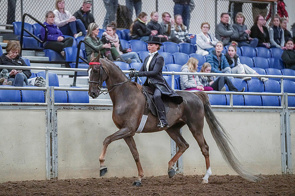 Spring Fling - Saturday - April 20, 2019  -  04361