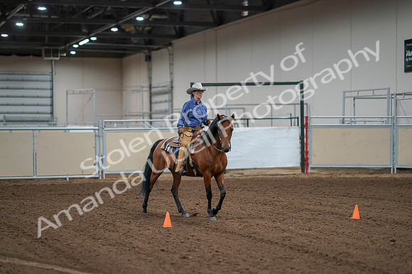 2020 - AB Morgan Horse - Fri, Sept 04 - 00002