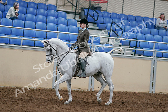 2020 - AB Morgan Horse - Sat, Sept 05 - 14435