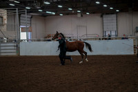 2019 Morgan Horse Show - Aug 30, 2019 - 25526