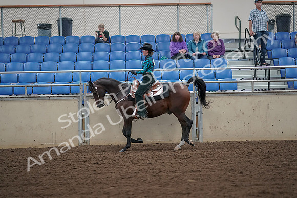 2019 Morgan Horse Show - Aug 30, 2019 - 25908