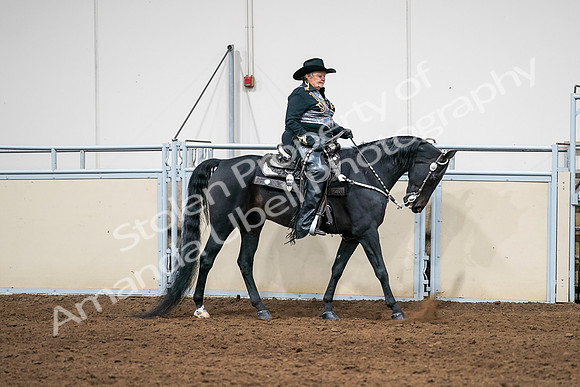 2020 - AB Morgan Horse - Sat, Sept 05 - 08946