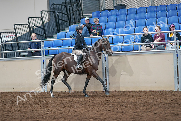 2020 - AB Morgan Horse - Sat, Sept 05 - 05123