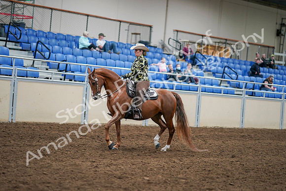 2020 - AB Morgan Horse - Sat, Sept 05 - 08892