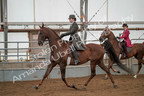 July 20, 2019 - 02218