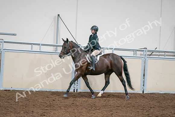 2020 - AB Morgan Horse - Sat, Sept 05 - 09075
