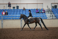 2019 Morgan Horse Show - Aug 30, 2019 - 27198
