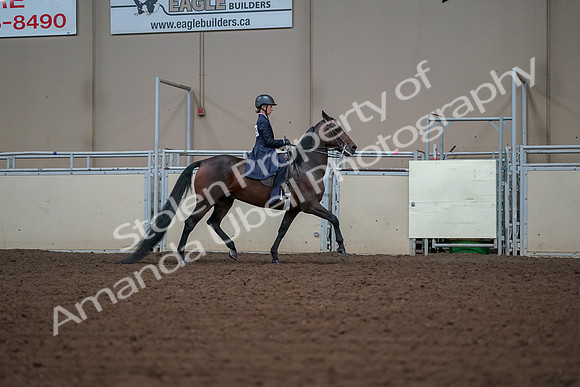 2019 Morgan Horse Show - Aug 30, 2019 - 18089