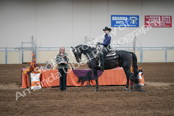 2020 - AB Morgan Horse - Sun, Sept 06 - 07628