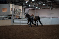 2019 Morgan Horse Show - Aug 31, 2019 - 03389