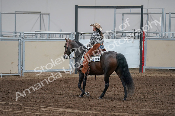 2020 - AB Morgan Horse - Fri, Sept 04 - 00447