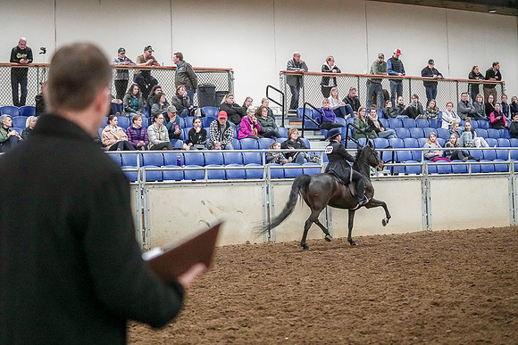 Spring Fling - Saturday - April 20, 2019  -  04302