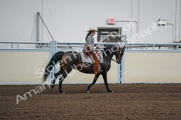 2020 - AB Morgan Horse - Fri, Sept 04 - 00424