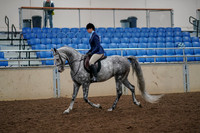 2019 Morgan Horse Show - Aug 30, 2019 - 22189