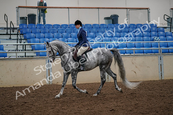 2019 Morgan Horse Show - Aug 30, 2019 - 22189
