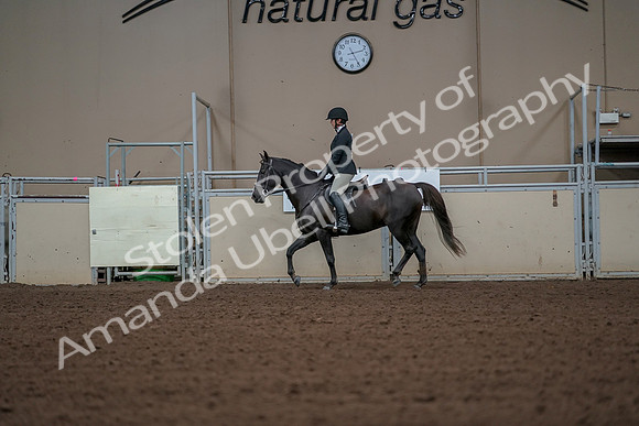 2019 Morgan Horse Show - Aug 30, 2019 - 14948