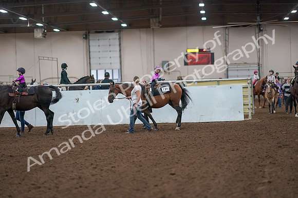 2019 Morgan Horse Show - Aug 31, 2019 - 18899