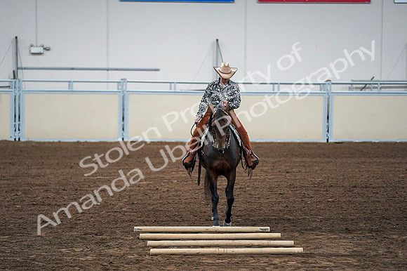 2020 - AB Morgan Horse - Fri, Sept 04 - 00429