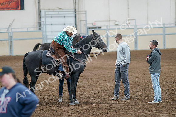 2020 - AB Morgan Horse - Fri, Sept 04 - 00660