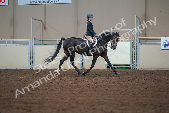 2019 Morgan Horse Show - Aug 30, 2019 - 20775
