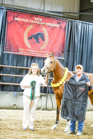 Sport Horse In Hand Awards