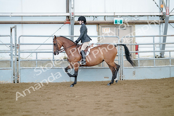 July 21, 2019 - 03175