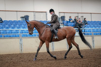 2019 Morgan Horse Show - Aug 30, 2019 - 29212