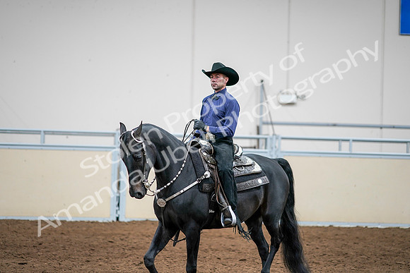 2020 - AB Morgan Horse - Sun, Sept 06 - 07602