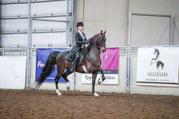Spring Fling - Saturday - April 20, 2019  -  00511