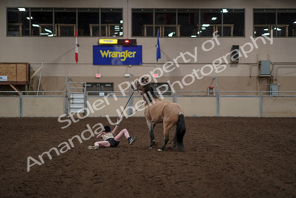 2019 Morgan Horse Show - Aug 30, 2019 - 31274