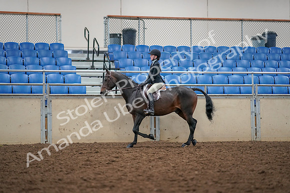 2019 Morgan Horse Show - Aug 30, 2019 - 23121