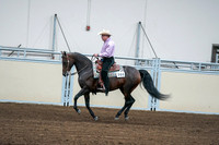 2020 - AB Morgan Horse - Fri, Sept 04 - 00544