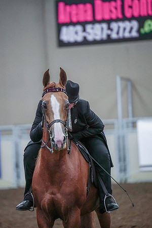Spring Fling - Saturday - April 20, 2019  -  00856