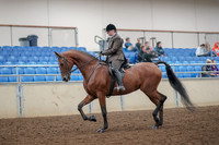 2019 Morgan Horse Show - Aug 30, 2019 - 29209