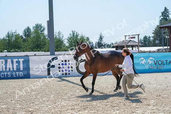 2024 - WCB - July 18 - 02848