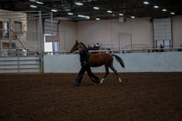 2019 Morgan Horse Show - Aug 30, 2019 - 25530