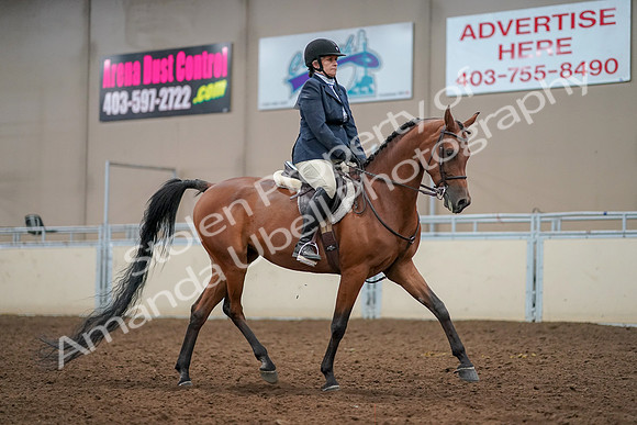 2019 Morgan Horse Show - Aug 30, 2019 - 22595
