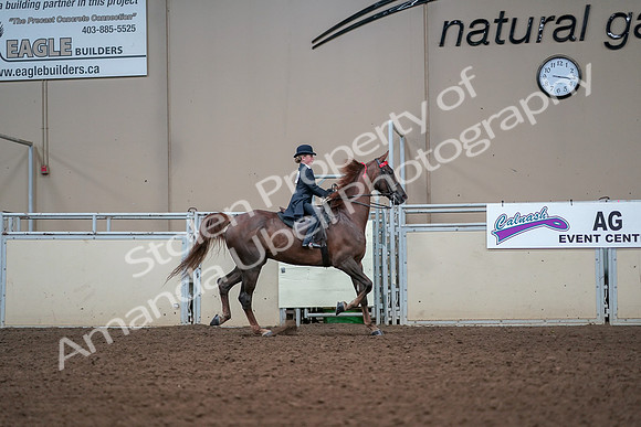 2019 Morgan Horse Show - Aug 30, 2019 - 17979